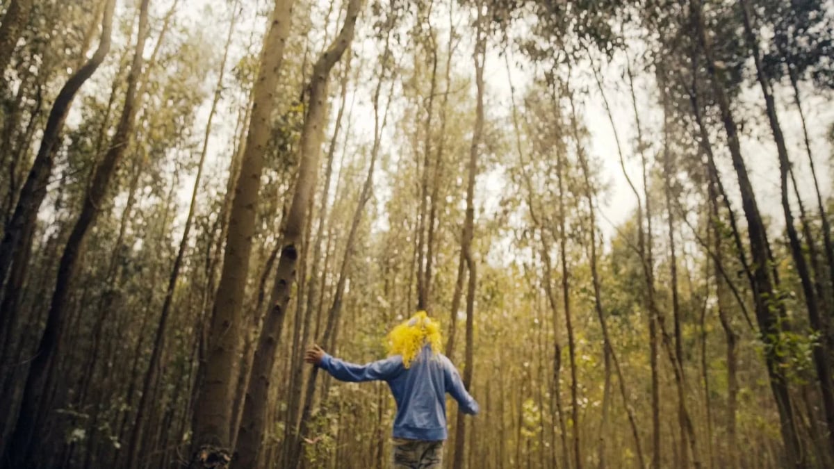 A frame from Anbessa