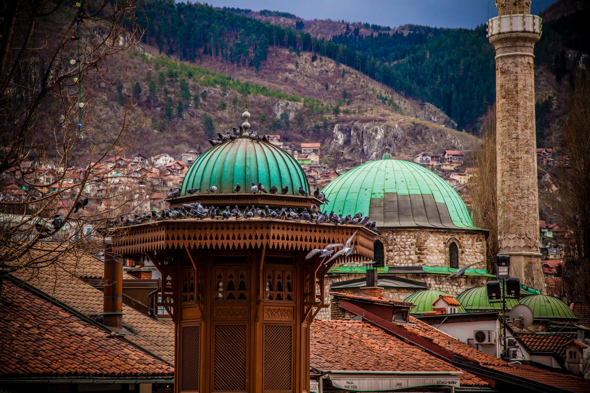 Wide landscape image showing green domes on a roof with many pigeons and mountains and houses in the background.