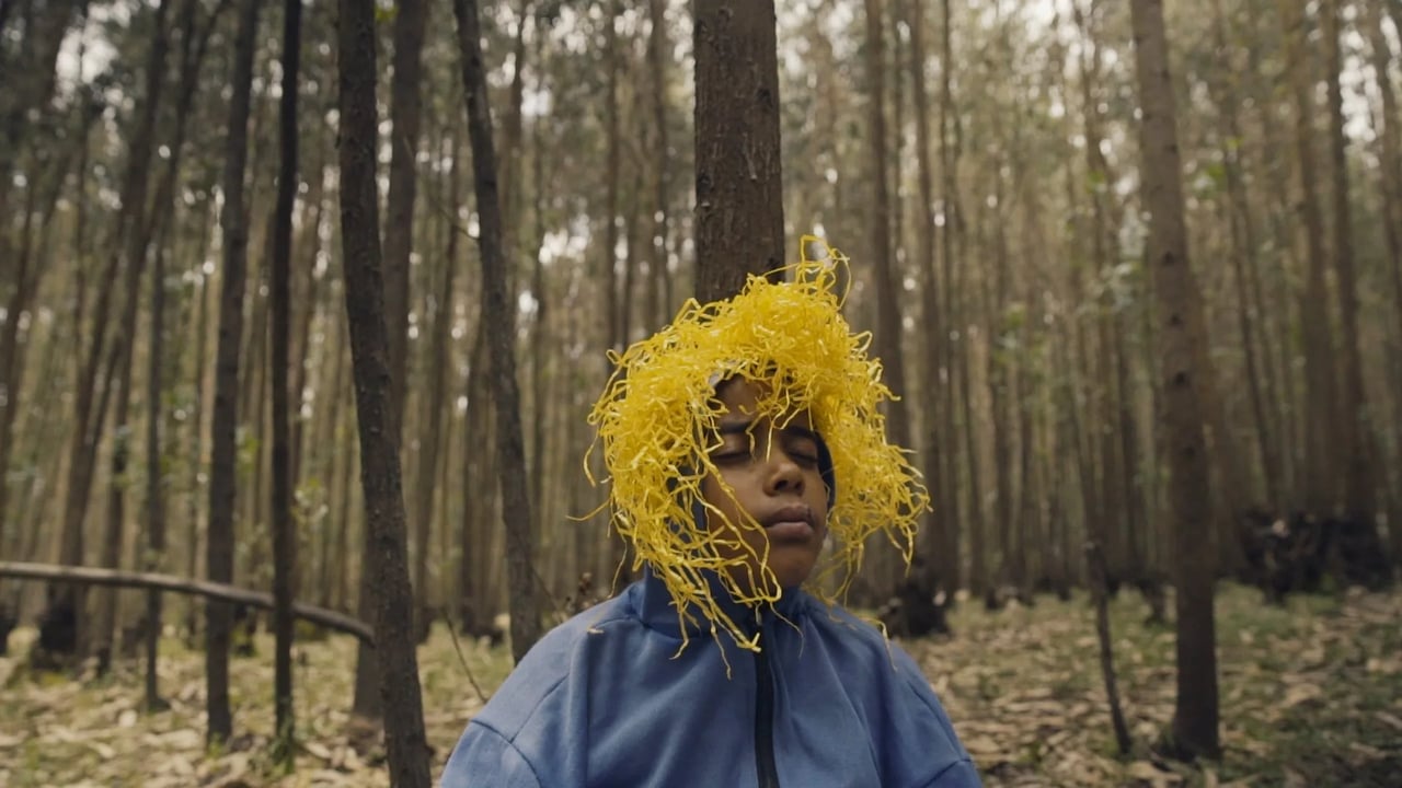 A frame from Anbessa