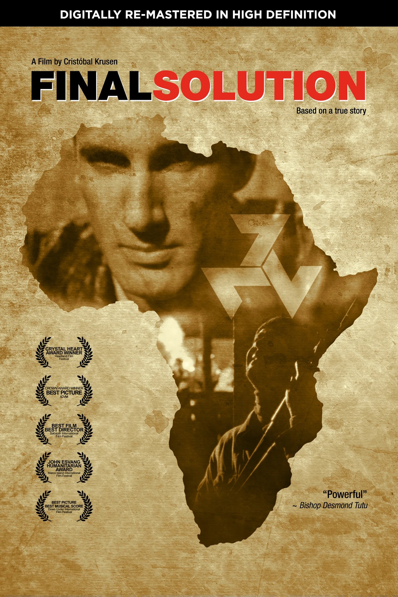 Final Solution poster